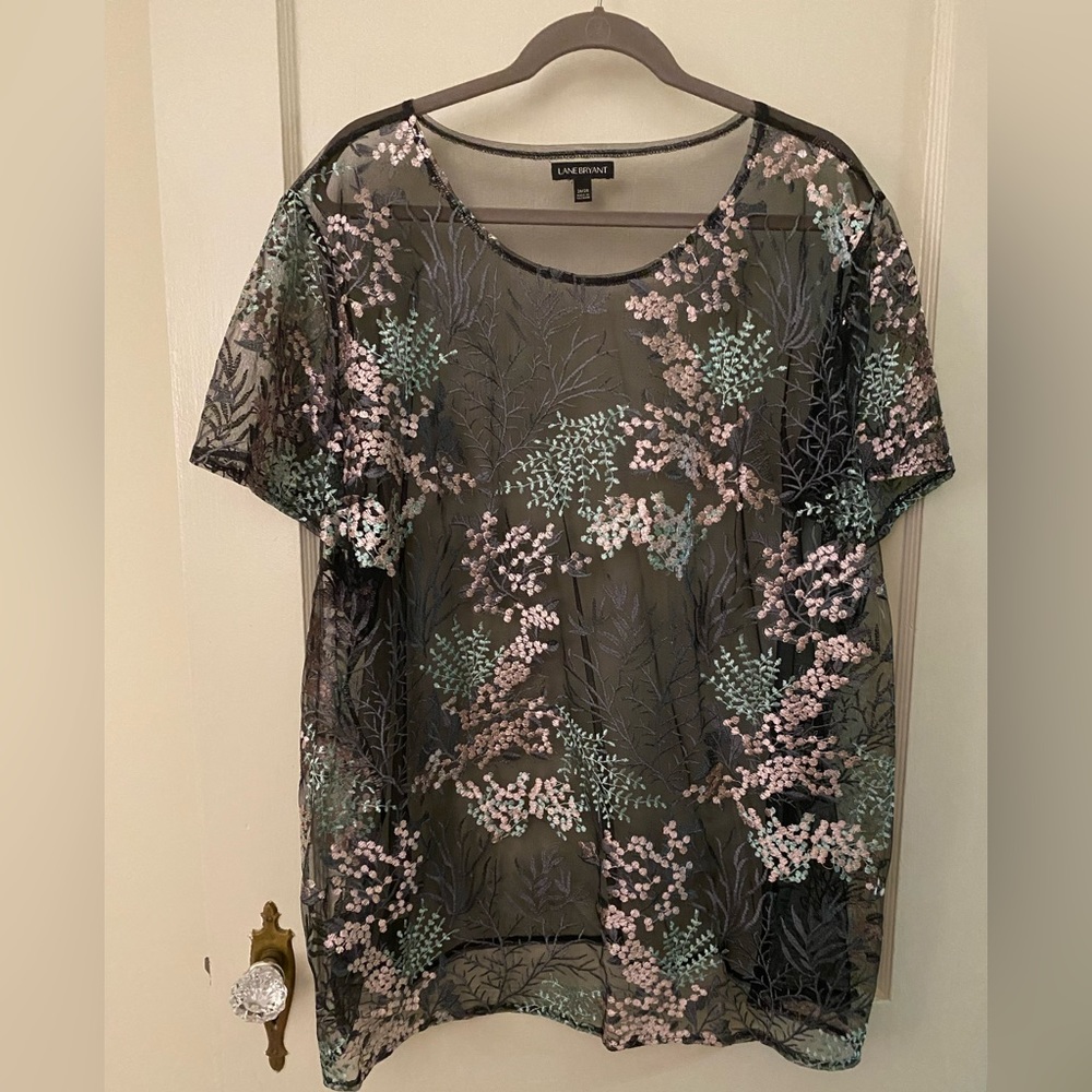 Floral Mesh Top with Light Pink and Green Embroidery - New